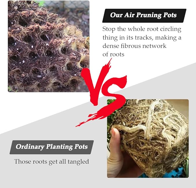 1 Gallon Air Pruning Pots New Plastic Nursery Pots Fruit Vegetable Garden Self-Planting Pots (10), Black (1G-10P)