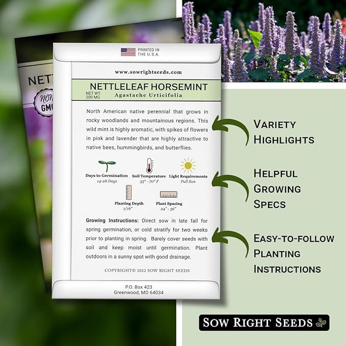 Sow Right Seeds - Nettleleaf Horsemint Seed for Planting - Medicinal Herb Giant Hyssop - Non-GMO Heirloom - Instructions to Plant and Grow an Herbal Tea Garden Indoors or Outdoors