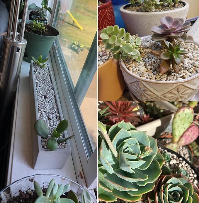 Horticultural Pumice for Plants Professional Sifted (50 QT, 1/2 inch)