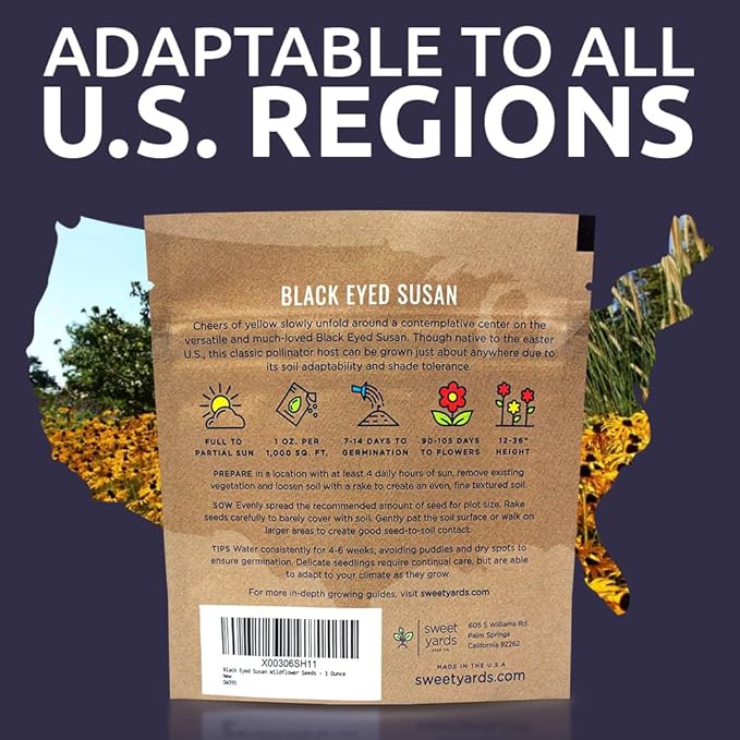 Black Eyed Susan Seeds – Extra Large Packet – Over 100,000 Open Pollinated Non-GMO Wildflower Seeds – Rudbeckia hirta