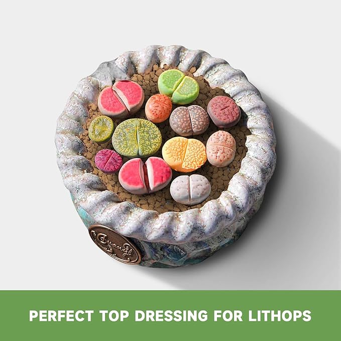 2.5lb Hard Akadama Bonsai Soil 1/8-1/4 inch Small Grain for Cactus, Succulents, Bonsai Plants Soil Amendment, Prevent Over Water, Provides Optimal Water Retention, Fast Drainage