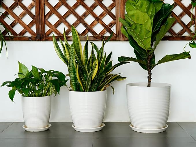 8 Inch Ceramic Planter Pot Round Plant Pot with Drainage Hole and Saucer Modern Flower Pot for Indoor Outdoor Plants White