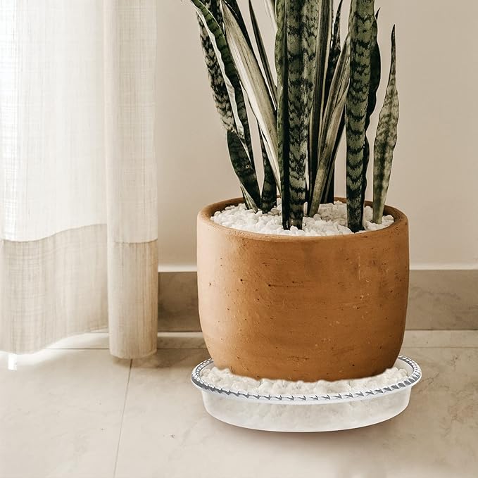 6 Pack Plant Saucer 6 8 10 12 14 Inch Plastic Plant Tray, Sturdy and Durable Flower Pot Container Accessories Plant Pot Saucers for Indoor and Outdoor (12 Inch, Clear)