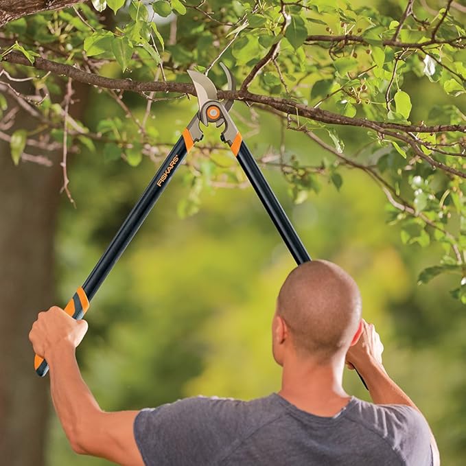 Fiskars Forged Lopper with Replaceable Blade (30 Inch)