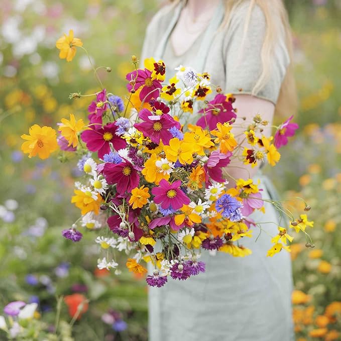 Eden Brothers Midwest Wildflower Mixed Seeds for Planting, 50 lb, 24,000,000+ Seeds with Cornflower, Candytuft, Mexican Hat, Attracts Pollinators, Plant in Spring or Fall, Zone 3, 4, 5, 6, 7, 8, 9, 10