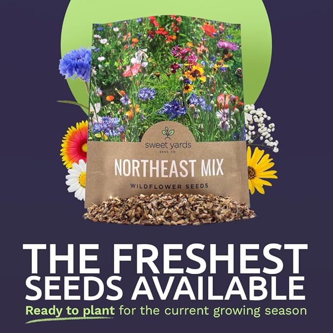 Northeast Wildflower Seeds - Extra Large 1 Ounce Packet - Over 7,500 Native Seeds - Open Pollinated and Non GMO Varieties for New York, Virginia, Pennsylvania, Maine and More!