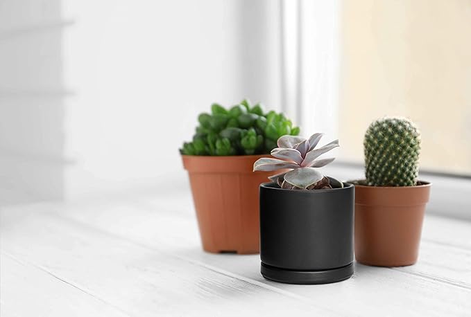 D'vine Dev Set of 4 Small Ceramic Plant Pots, 4.6 Inch Succulent Planter Pot for Plants with Drainage Hole and Saucer, Black, 94-X-B-2