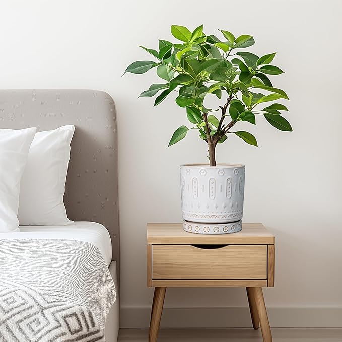 Pot for Plants 6 Inch - Ceramic Planter for Indoor Plants Decorative Plant Pot with Drainage Holes and Saucer Outdoor Flower Pot Modern Succulent Pot for Office Desk Decor White