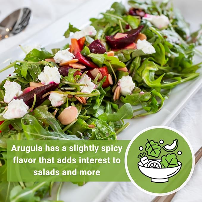 Sow Right Seeds - Arugula Seeds for Planting - Non-GMO Heirloom Seeds with Instructions to Plant a Home Vegetable Garden - Indoors, Hydroponics or Outdoors - Salad Greens - Grow Kitchen Herbs (2)