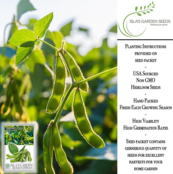 Midori Giant Edamame Seeds for Planting, 25+ Heirloom Seeds Per Packet, (Isla's Garden Seeds), Non GMO Seeds, Botanical Name: Glycine max, Great Home Garden Gift