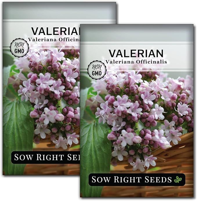 Sow Right Seeds - Valerian Seeds for Planting - Non-GMO Heirloom Packet with Instructions to Plant an Outdoor Herb Garden - Fragrant with Medicinal Benefits - Valerian Root for Sleep & Calm (2)