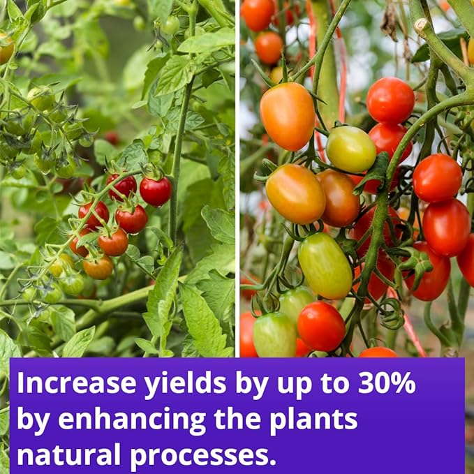 Humboldts Secret Flower Stacker – Best Flowering Formula for Bigger Harvests - Flowering Plant Food – Nutrient System for Potting Soil for Indoor & Outdoor Plants - 2.5 Gallons