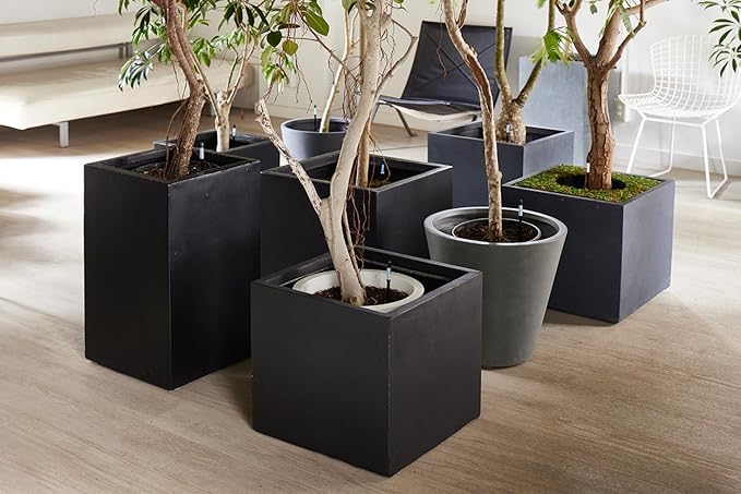 (Amazon Limited 5-Piece Set) Cabinoche SUSTEE Watering Checker Susty Set of 5 L Black Can Be Checked by Just Pointing to Check Watering Timing for Home Plants, Gardening, Interior Decoration