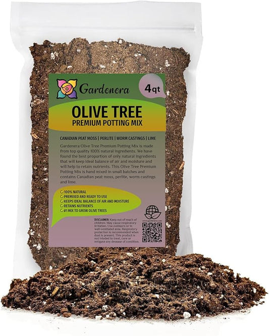 Olive Tree Premium Potting Mix - Create a Mediterranean Paradise in Your Backyard - 4 Quart