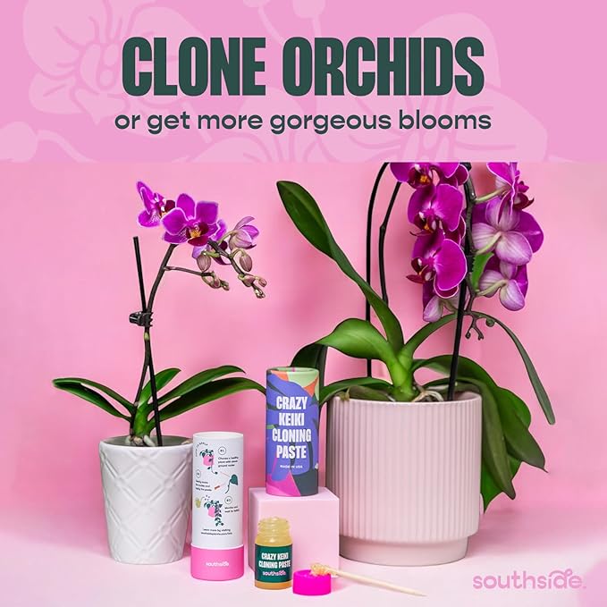Keiki Cloning Paste by Southside Plants - Miracle Growth for Orchids & Houseplants - Generate New Life with Cytokinin, Hormones & Vitamins - 0.25oz x 2