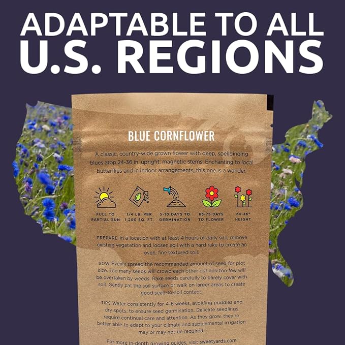 Blue Cornflower Seeds – Bachelor Buttons – Bulk Quarter Pound Bag – Over 20,000 Open Pollinated Non-GMO Wildflower Seeds – Centaurea cyanus