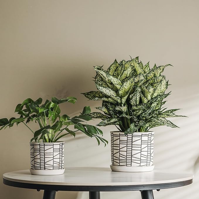 6 Inch Plant Pot: Ceramic Planter with Drainage Hole & Saucer for Indoor Outdoor Plants - Flowerpot with Bonded Tray for Home Office - Stripe Debossed