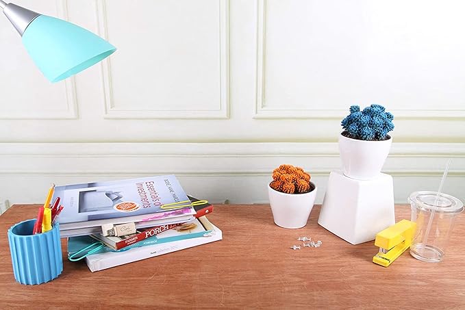 Costa Farms Live Cactus, Live Indoor Desert Gem Cactus in White Ceramic, 7-Inches Tall | Valentines Day Gift | Valentines Day Decoration