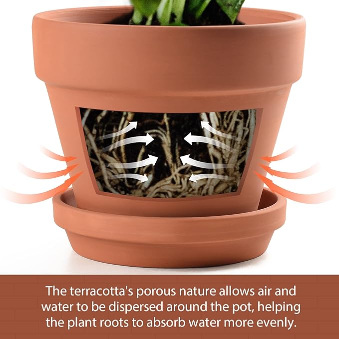 INGOFIN Terracotta Pots Set with Saucer - 2-Pack Ceramic Clay Planters with Drainage Hole, Garden Flower Succulent Pots with Tray for Indoor Outdoor Plants, 8 inch, Set of 2