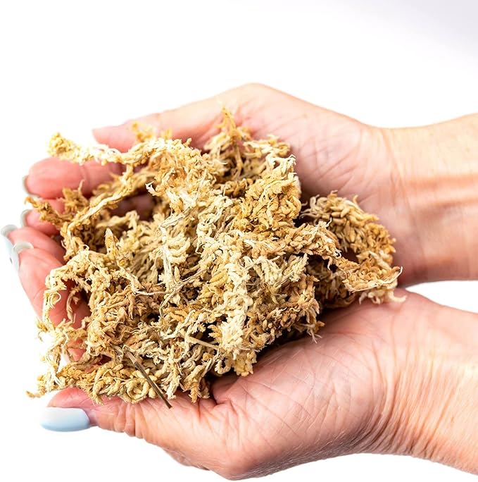 Premium New Zealand Sphagnum Moss by Gardenera - 20 Quart - Organic Hand Mixed Long Fibered Sphagnum Moss Orchid (4 Bags of 5 Quart)