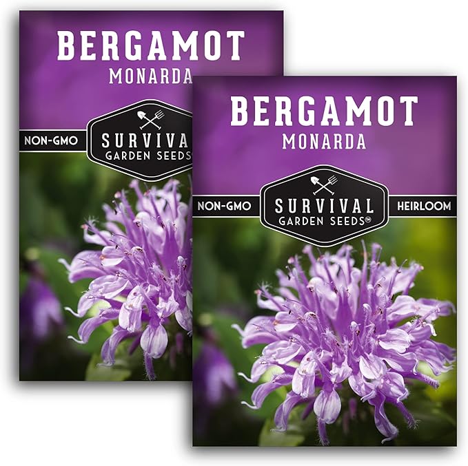 Survival Garden Seeds - Bergamot Herb (Bee Balm) Seed for Planting - 2 Packs with Instructions to Plant and Grow Lavender Monarda Wildflowers in Your Home Vegetable Garden - Non-GMO Heirloom Variety