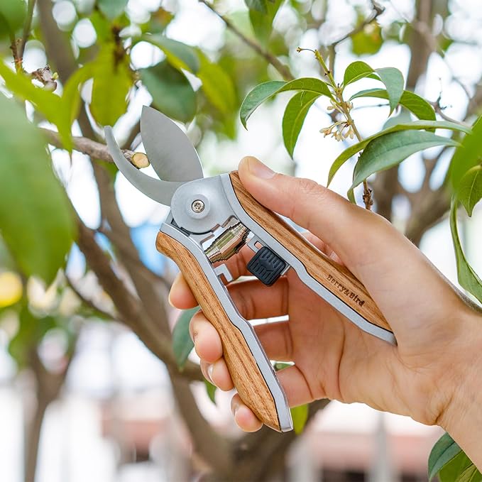 Berry&Bird Mini Pruning Shears for Gardening Curved Blades Hand Pruners with Wooden Handle Garden Scissors Snips Stainless Steel Trimming Small Clippers Bonsai Compact Size Sheaering Tool