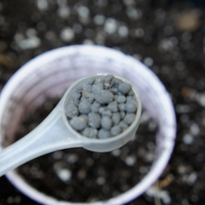 Start | Mycorrhizal Fungi & Organic Kelp Meal Soil Booster for Transplant and Top Dressing | Root Enhancer and Living Soil Booster | for Soil and Coco Indoor and Outdoor Plants