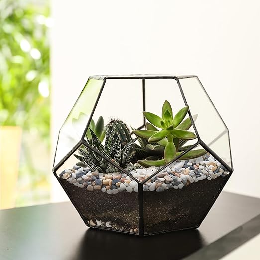 2.5 lbs Pebbles for Indoor Plants, 1/5 Inch Natural Decorative Gravel for Vases, Aquariums, Terrarium, Fish Tank, Drainage Rocks for Potted Plants, Bamboo, Succulent, Crafts, Cactus