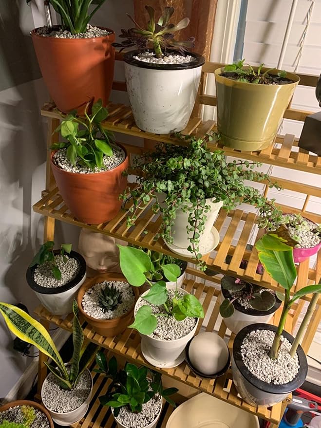 Garden Pumice Rock Horticultural Cactus Bonsai Succulent Soil Additive for Plants, Landscaping, Vase Fillers (1/2 inch, 10QT)