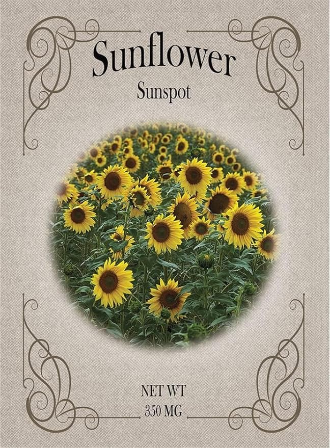 Set of Flower Seed Packets! Flower Seeds in Bulk - Great for Creating The Garden of Your Dreams! (200, Sunspot Sunflower)