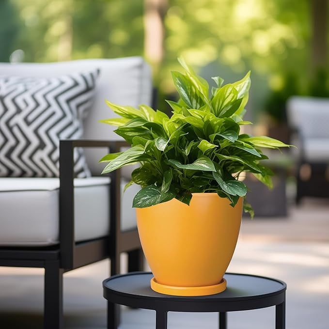 Ceramic Plant Pot - 8 Inch Planter for Indoor Outdoor Plants, Round Flower Pots with Drainage and Tray, Home Office Decor, Orange