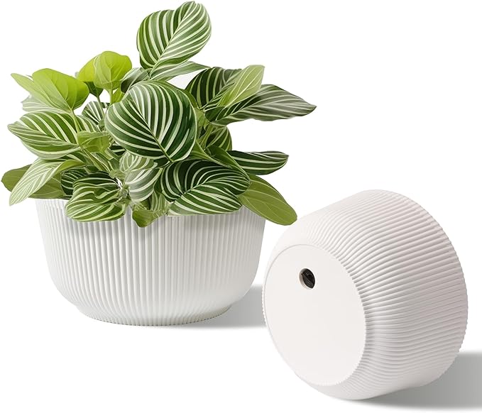 T4U 10 Inch Self Watering Pots for Indoor Plants, Plastic Plant Pots with Drainage Hole, Large Flower Pots for Indoor Outdoor Plants Cactus, Garden, Set of 2, White