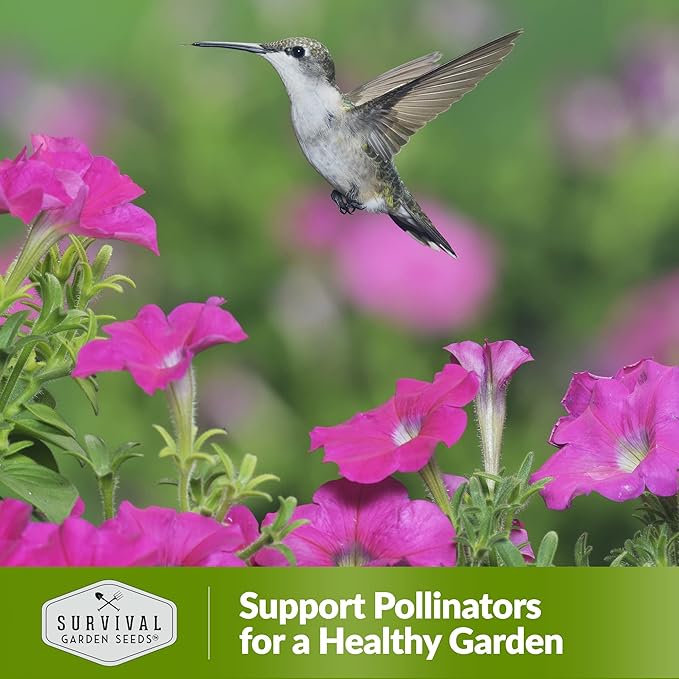 Survival Garden Seeds - Hummingbird Pollinator Mix Wildflower Seed for Planting - 2 Packs with Instructions to Plant & Grow Nectar Flowers in Your Home Vegetable Garden - Non-GMO Heirloom Varieties