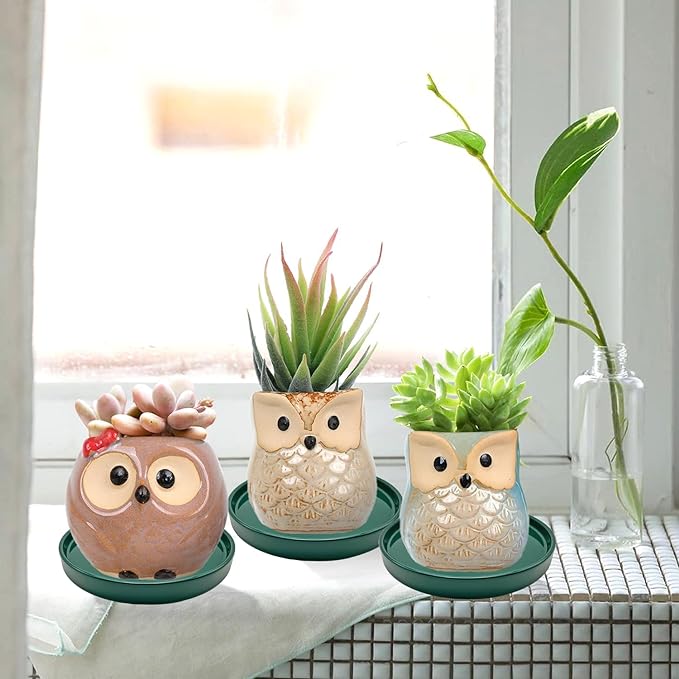 2 Pack Ceramic Plant Saucer Pot Tray 6 Inch, Planter Saucers 4 5 6 7 8 9 10 11 12 13 Inch for Indoors Outdoor, Durable Sturdy Flower Drainage drip Water Tray for Glazed Pots Base (6.4 Inch-Green)