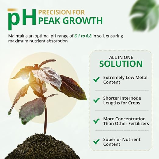 500ml Gold Leaf Liquid Fertilizer Single-Step Plant Fertilizer with Every Essential Nutrient for Healthy Bigger Buds and Blooms, Optimized pH for Soil, Hydroponics, and Coco Grower