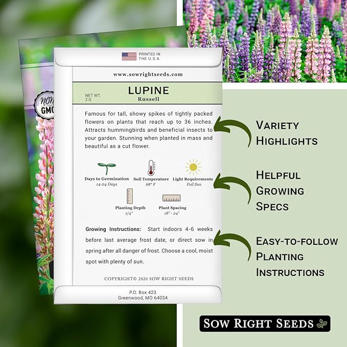 Sow Right Seeds - Russell Lupine Seeds for Planting - Non-GMO Heirloom Packet with Instructions to Plant in Your Garden - Perennial Flower to Attract Hummingbirds and Bees - Spiked Wildflower Mix (2)