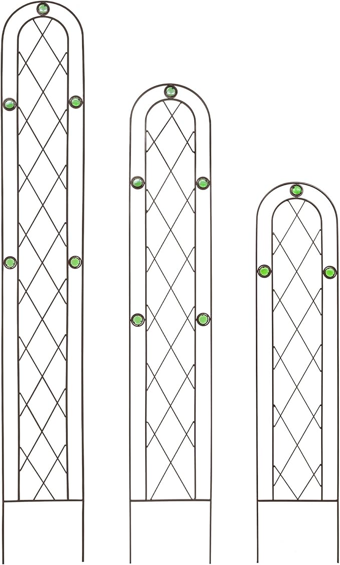 Arcadia Garden Products TR02 Arched Garden Trellis, 5' x 10", Black