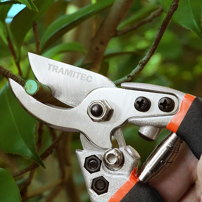 Garden Hedge Shears. Hedge Clippers & Shears SET with Super Pruning Shears. Heavy Duty Garden Clippers for Shaping Bushes Nicely. Hedge Scissors & Shears made with Durable Carbon Steel.