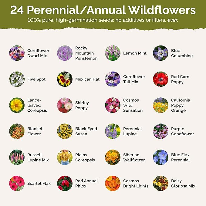 Eden Brothers Western Wildflower Mixed Seeds for Planting, 1 lb, 480,000+ Seeds with Cornflower, Blanket Flower | Attracts Pollinators, Plant in Spring or Fall, Zones 3, 4, 5, 6, 7, 8, 9, 10