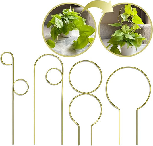 Small Metal Trellis for Indoor Plants Metal Plant Stake for Climbing House Plants Plant Support for Potted Plants Orchids, Monstera, Pothos, Ivy, Hoya, Philodendron Set of 4 (Brushed Gold)