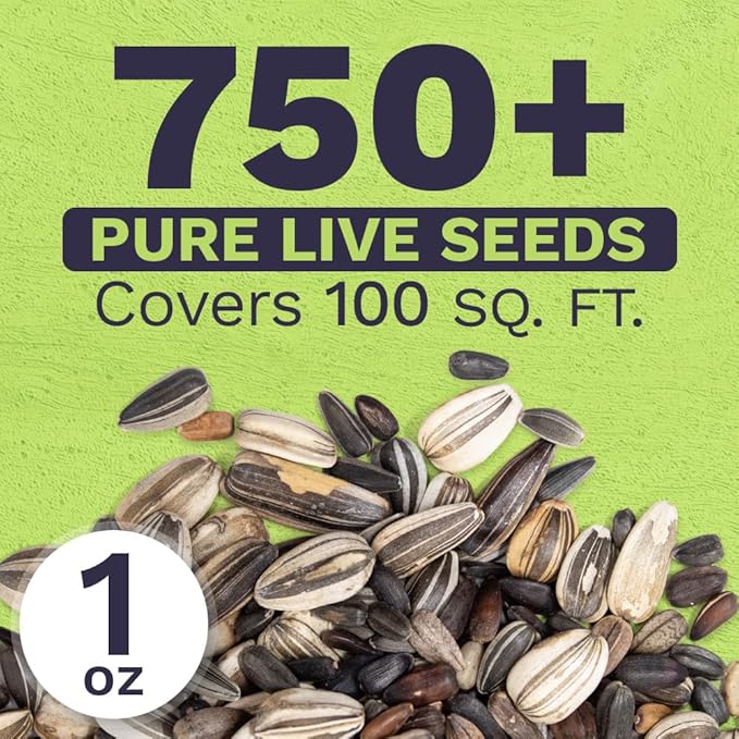 SWEET YARDS Sunflower Variety Mix 10 Types of Beautiful Sunflowers - Bulk 1 Ounce Packet - Open Pollinated Sunflower Seeds