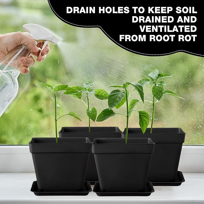 100 Pieces 4 Inch Flower Pots Square Plants Nursery Pot Plastic Plant Seedling Pots Nursery Transplanting Planter Container with Saucer for Indoor Herbs Succulents Balcony Garden Office (Black)