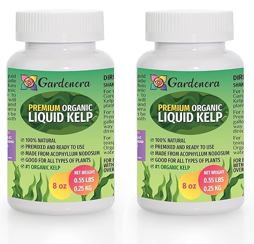 Natural Liquid Seaweed Premium Concentrate - 16 oz - Organic Plant Superfood for Gardening - Kelp Extract for Gardens, Lawns, Plants & Soil