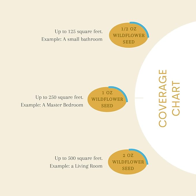 65,000+ Seeds Honey Bee Wildflower Pollinator Mix - Perennial & Annual Wild Flowers for Spring & Fall - Planting Outdoors to Save The Bees - California Poppy, Primrose, Bergamot & More