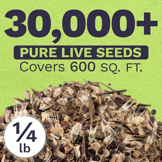 Cut Flower Garden Seeds - Bulk 1/4 Pound Bag - Over 30,000 Fresh Open Pollinated Non-GMO Wildflower Seeds - Long Lasting Annuals and Perennials with Bright Colors