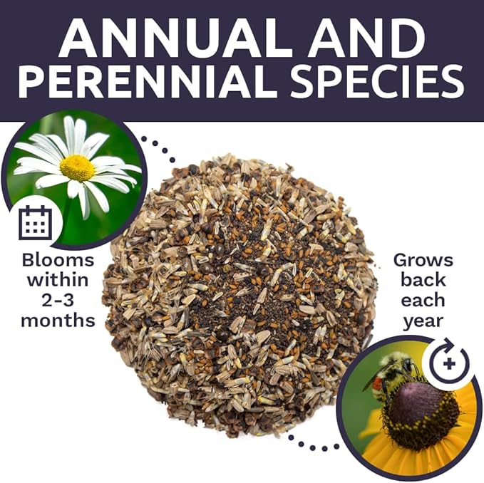 Northeast Wildflower Seeds - Extra Large 1 Ounce Packet - Over 7,500 Native Seeds - Open Pollinated and Non GMO Varieties for New York, Virginia, Pennsylvania, Maine and More!