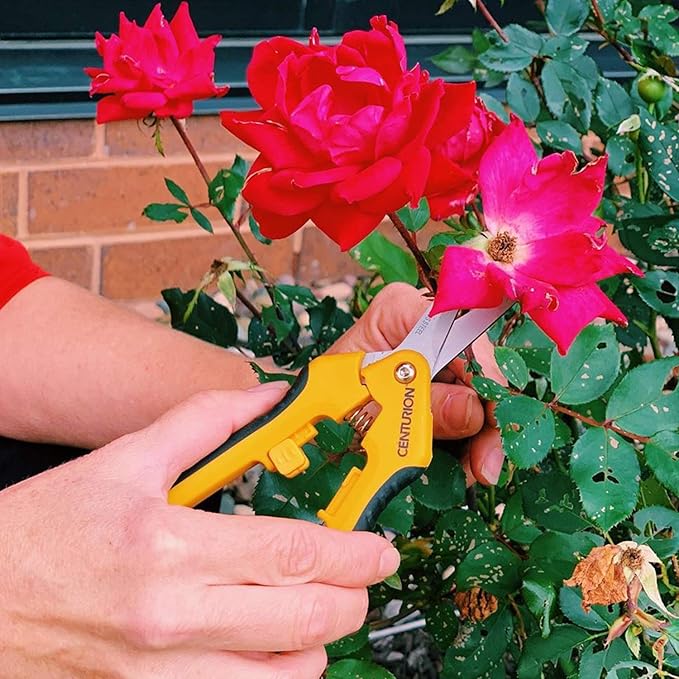 Centurion 201 Hand Pruner Shears, 2-Piece Set, 6½" Straight & Upward Curved Stainless Steel Blades, Hardened & Precision Ground, Ideal for Indoor and Outdoor Gardening, Trimming, and Precision Cutting
