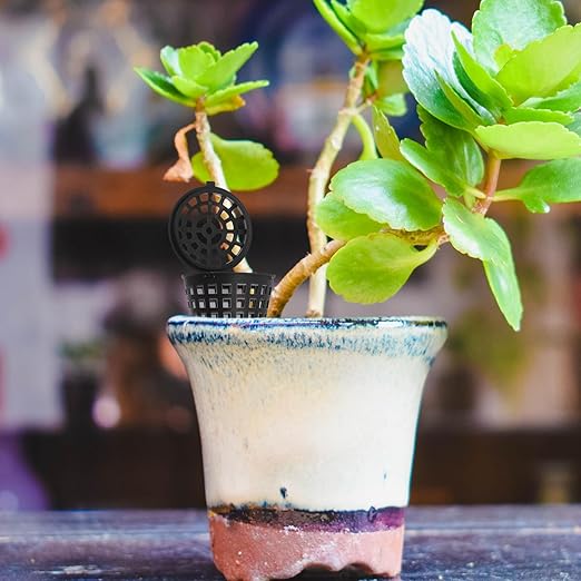 Happyyami 100PCS Portable Bonsai Fertilizer Box with Lid - Practical Fertilizer Container for Orchids and Succulents - Slow Release Bonsai Plant Food Gardening Tool (Black)