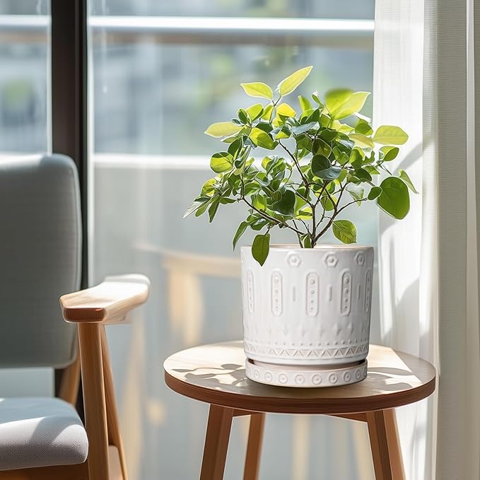 Ceramic Planter for Indoor Plants - 8 Inch Plant Pot Outdoor Flower Pot with Drainage Holes and Saucer Modern Round Planter Succulent Pot for Home Garden Decor White