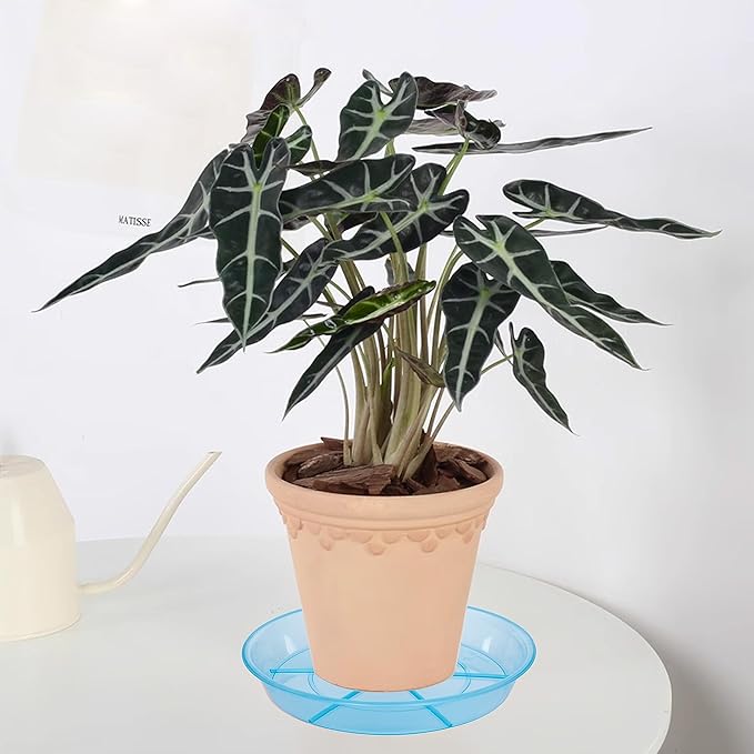 6 Pack Plant Saucer Drip Tray 9 10 inch, Plant Dishes Saucer, Heavy Sturdy Plastic Planter Flower Pot Saucers for Indoor Outdoor Garden, Plant Water Drip Trays for pots (10", Blue)